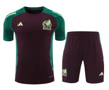 Mexico Training clothing set  1:1 Quality Soccer Jersey    24-25