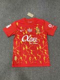 Mallorca Special Edition Fans  1:1 Quality Soccer Jersey   24-25