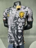Netherlands  Jordon Edition  player  1:1 Quality Soccer Jersey  24-25