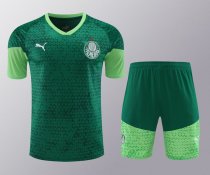 Palmeiras Training clothing set  1:1 Quality Soccer Jersey   24-25