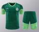 Palmeiras Training clothing set  1:1 Quality Soccer Jersey   24-25
