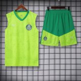Palmeiras Training clothing Vest  set  1:1 Quality Soccer Jersey    24-25