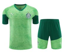 Palmeiras Training clothing set  1:1 Quality Soccer Jersey   24-25