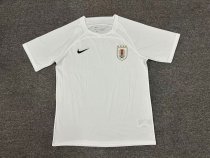 Uruguay Special Edition fans 1:1 Quality Soccer Jersey   24-25