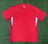 Turkey away Fans  1:1 Quality Soccer Jersey   24-25