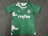 Palmeiras Special Edition  fans 1:1 Quality Soccer Jersey    24-25