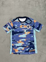 Netherlands  Special Edition  fans 1:1 Quality Soccer Jersey  24-25