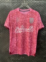 Palestine Special Edition  Fans 1:1 Quality Soccer Jersey  24-25