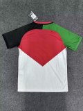 Palestine Special Edition  Fans 1:1 Quality Soccer Jersey  24-25