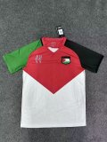 Palestine Special Edition  Fans 1:1 Quality Soccer Jersey  24-25
