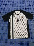 Palestine Special Edition  Fans 1:1 Quality Soccer Jersey  24-25