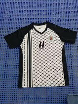 Palestine Special Edition  Fans 1:1 Quality Soccer Jersey  24-25