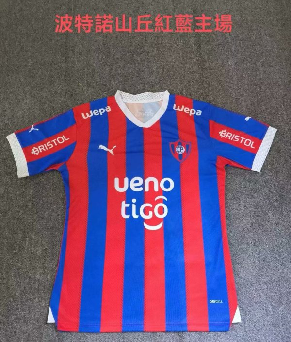Cerro Porteno home  Fans 1:1 Quality Soccer Jersey    24-25