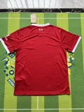 Liverpool home  Fans 1:1 Quality Soccer Jersey   23-24