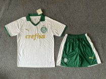 Palmeiras away fans suit  1:1 Quality Soccer Jersey  24-25