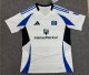 Hamburger SV home fans 1:1 Quality Soccer Jersey  24-25