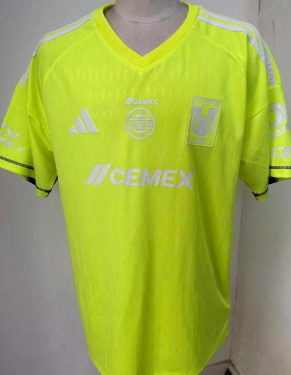 Tiger  GK Green  Fans 1:1 Quality Soccer Jersey    24-25