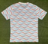 River Plate Special Edition Fans 1:1 Quality Soccer Jersey   24-25