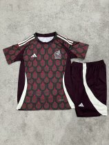 Mexico home Fans suit  1:1 Quality Soccer Jersey   24-25