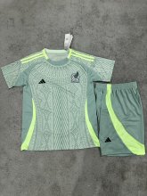 Mexico Away  Fans suit  1:1 Quality Soccer Jersey   24-25
