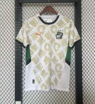 Ivory Coast away fans 1:1 Quality Soccer Jersey   24-25