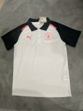 Manchester City Special Edition POLO fans 1:1 Quality Soccer Jersey  24-25