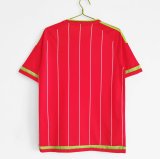 Retro Welsh home 1:1 Quality Soccer Jersey  2015-2016
