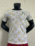 Ivory Coast away player 1:1 Quality Soccer Jersey   24-25
