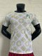 Ivory Coast away player 1:1 Quality Soccer Jersey   24-25