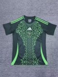 Algeria away Fans  1:1  24-25