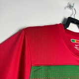 Retro  Portugal Home 1:1 Quality Soccer Jersey  2010