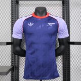 Arsenal  Special Edition  player  1:1 Quality Soccer Jersey    24-25