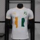 Ivory Coast Special Edition player 1:1 Quality Soccer Jersey   24-25