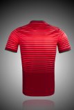 Retro Portugal Home Fans  1:1 Quality Soccer Jersey  2014