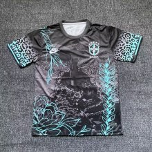 Brazil  Special Edition Fans 1:1 Quality Soccer Jersey  24-25