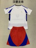 Hamburger SV  home  kids 1:1 Quality Soccer Jersey   24-25