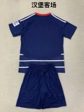 Hamburger SV  away kids 1:1 Quality Soccer Jersey   24-25