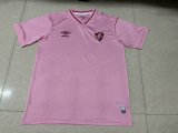 Fluminense Special Edition Fans 1:1 Quality Soccer Jersey  24-25