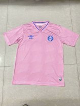 Gremio Special Edition Fans 1:1 Quality Soccer Jersey   24-25