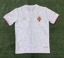 England Special Edition  Fans  1:1 Quality Soccer Jersey   24-25