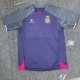 Espanyol   away  Fans    1:1 Quality Soccer Jersey   24-25