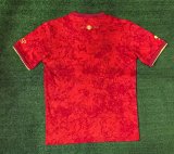 Spain training Special Edition Fans  1:1 Quality Soccer Jersey   24-25