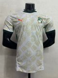 Ivory Coast away player  1:1 Quality Soccer Jersey   25-26