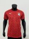 Egypt home Player  1:1 Quality Soccer Jersey   25-26