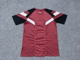 Ajax Special Edition Fans 1:1 Quality Soccer Jersey   24-25