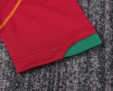Retro Portugal home Kids  1:1 Quality Soccer Jersey 2006