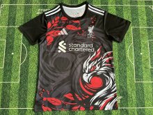 Liverpool Special Edition Fans 1:1 Quality Soccer Jersey   24-25