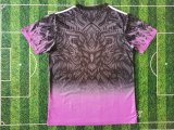 Liverpool Special Edition Fans 1:1 Quality Soccer Jersey   24-25