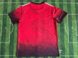 Liverpool Special Edition Fans 1:1 Quality Soccer Jersey   24-25