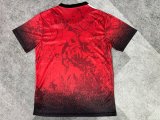 Liverpool Special Edition Fans 1:1 Quality Soccer Jersey   24-25